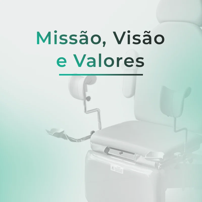 Missão Visão e Valores